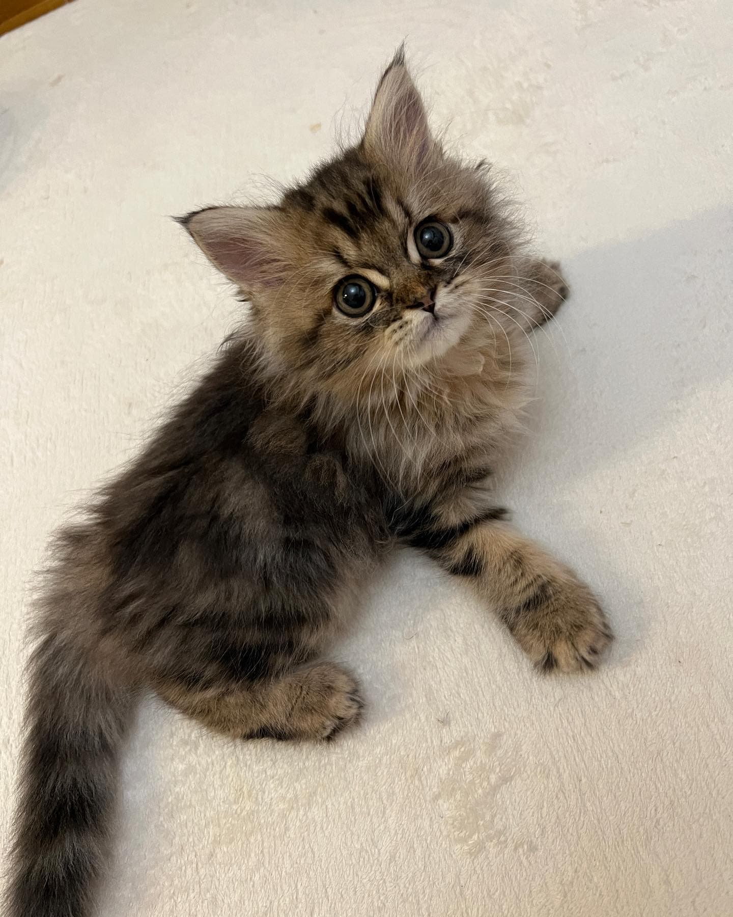 Honey