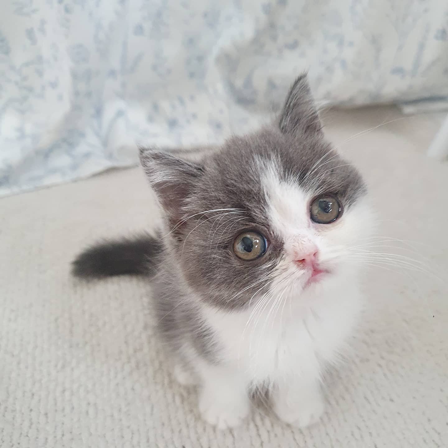 Penny