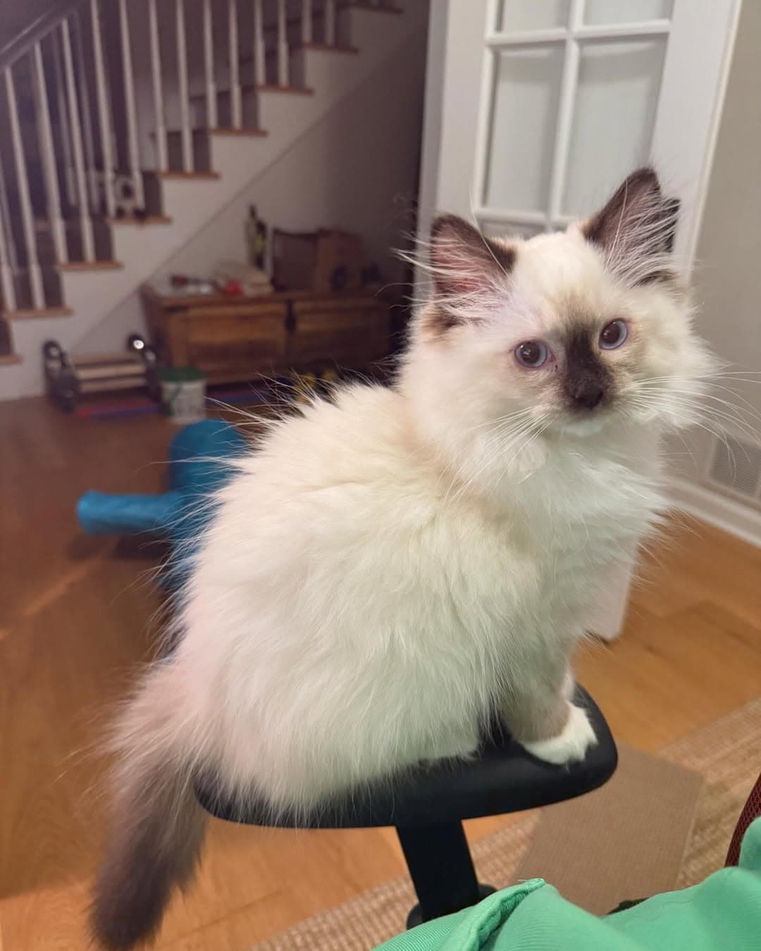 Benny