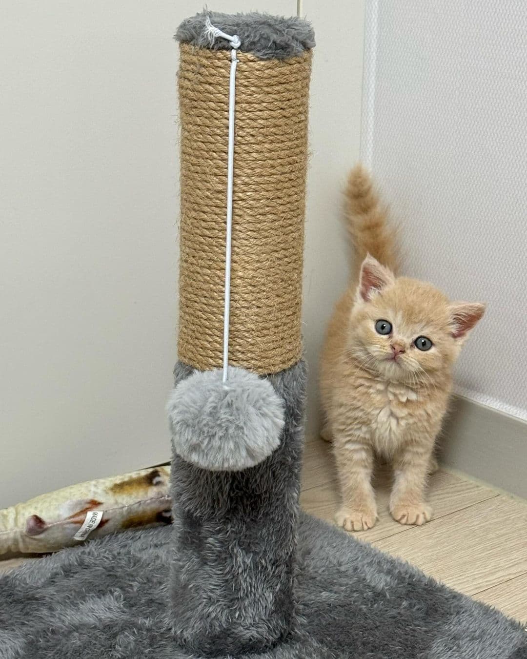 Milo