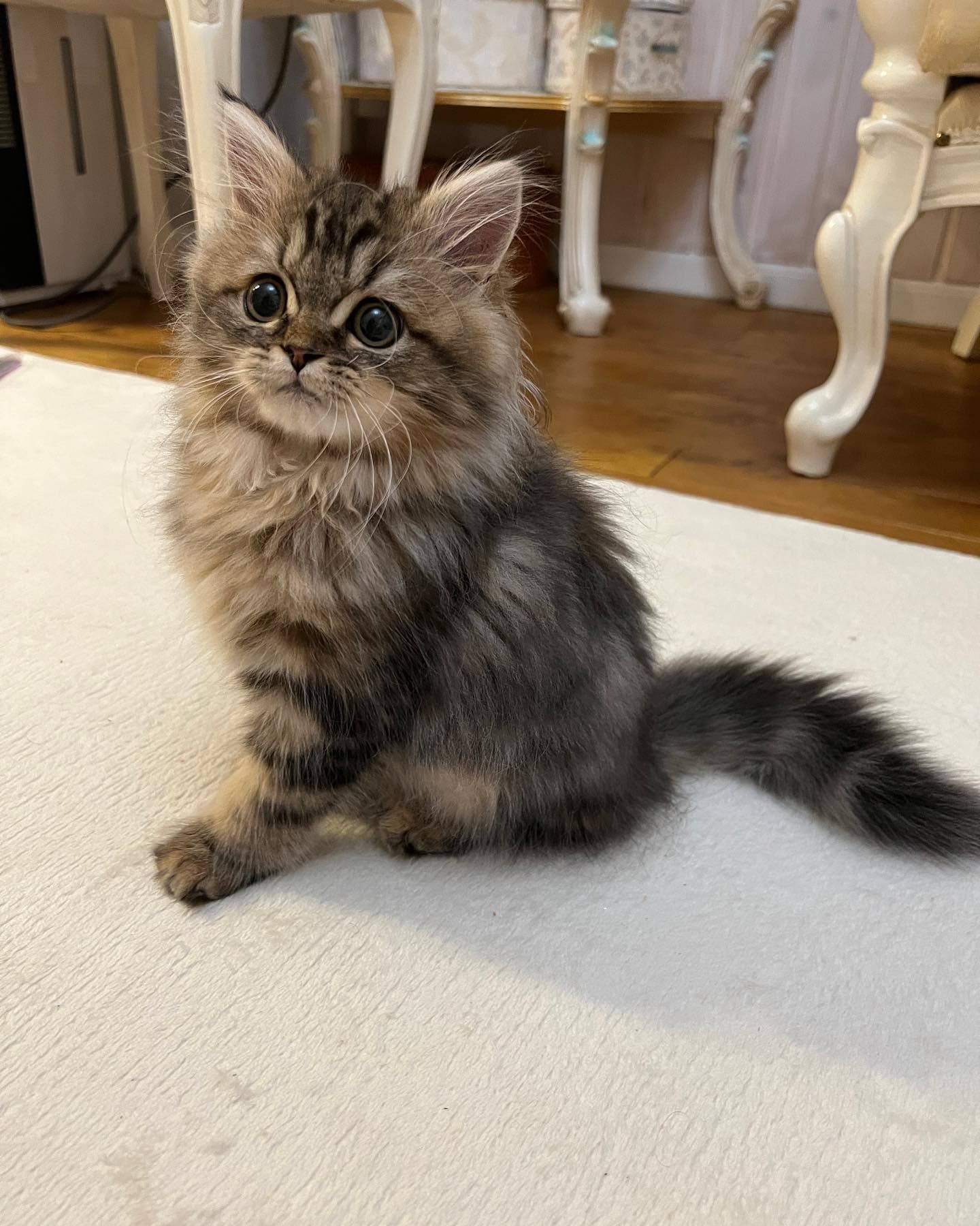 Skye